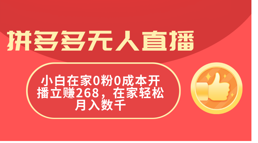 （11521期）拼多多无人直播，小白在家0粉0成本开播立赚268，在家轻松月入数千-必智轻创社
