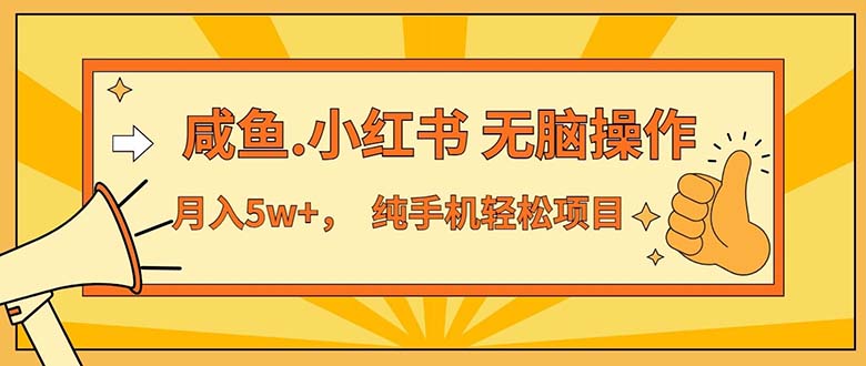 （11524期）2024最赚钱的项目，咸鱼，小红书无脑操作，每单利润500+，轻松月入5万+…-必智轻创社