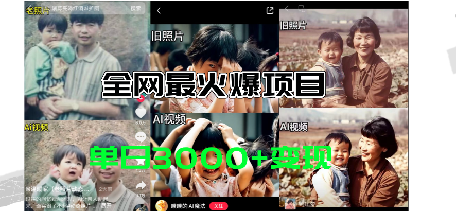 （11546期）全网爆火的AI让老照片动起来教程，蹭热点日赚3000+，内含免费工具一键…-必智轻创社
