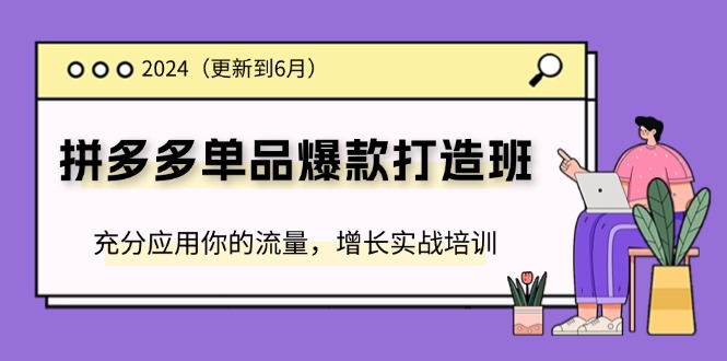 （11556期）2024拼多多-单品爆款打造班(更新6月)，充分应用你的流量，增长实战培训-必智轻创社