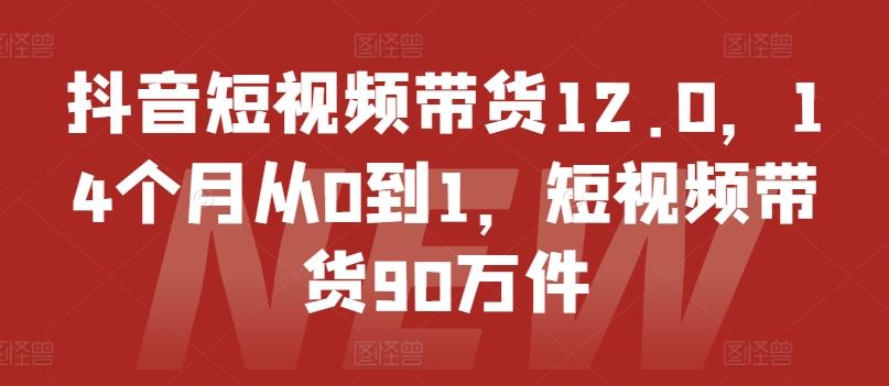 抖音短视频带货12.0，14个月从0到1，短视频带货90万件-必智轻创社