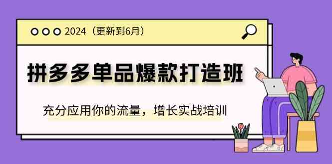2024拼多多单品爆款打造班，充分应用你的流量，增长实战培训(更新6月)-必智轻创社