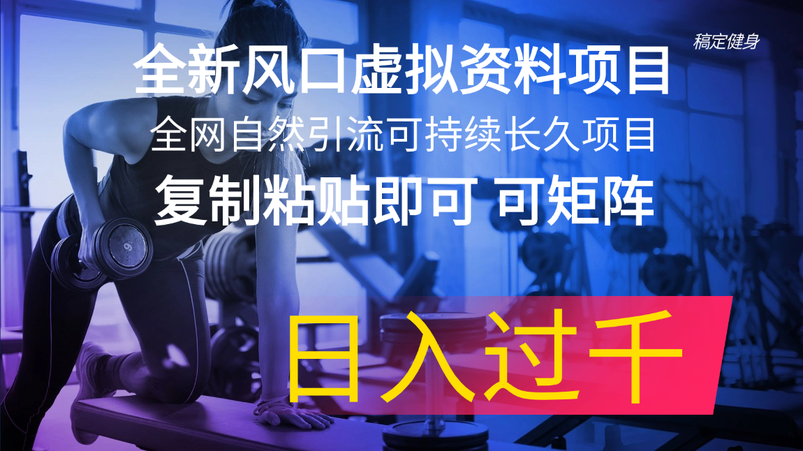 （11587期）全新风口虚拟资料项目 全网自然引流可持续长久项目 复制粘贴即可可矩阵…-必智轻创社