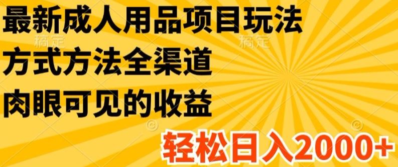 最新成人用品项目玩法，方式方法全渠道，轻松日入2K+【揭秘】-必智轻创社