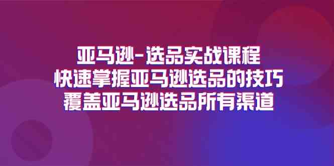 亚马逊选品实战课程，快速掌握亚马逊选品的技巧，覆盖亚马逊选品所有渠道-必智轻创社