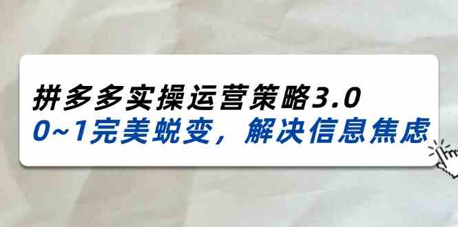 2024-2025拼多多实操运营策略3.0，0~1完美蜕变，解决信息焦虑（38节）-必智轻创社