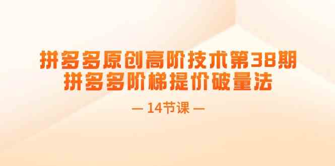 拼多多原创高阶技术第38期，拼多多阶梯提价破量法（14节课）-必智轻创社
