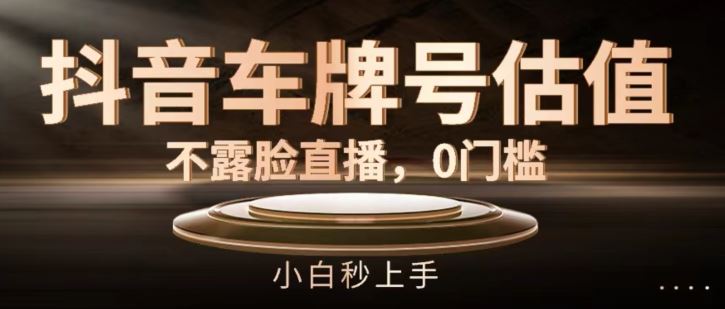 抖音车牌号估值，不露脸直播，0门槛，小白秒上手【揭秘】-必智轻创社
