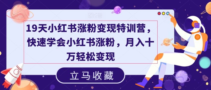 19天小红书涨粉变现特训营，快速学会小红书涨粉，月入十万轻松变现-必智轻创社