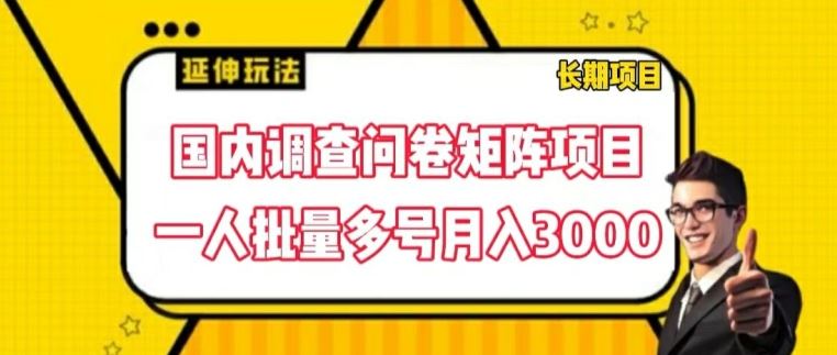 国内调查问卷矩阵项目，一人批量多号月入3000【揭秘】-必智轻创社