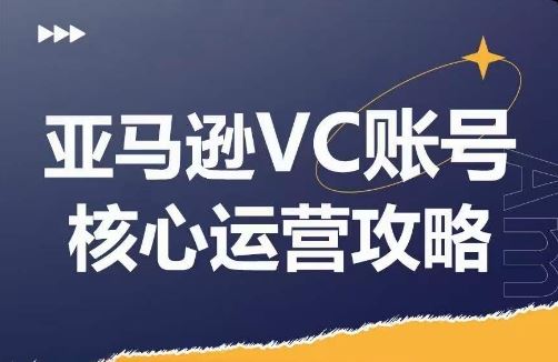 亚马逊VC账号核心玩法解析，实战经验拆解产品模块运营技巧，提升店铺GMV，有效提升运营利润-必智轻创社