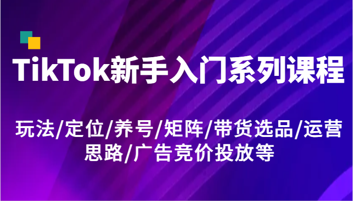 TikTok新手入门系列课程，玩法/定位/养号/矩阵/带货选品/运营思路/广告竞价投放等-必智轻创社