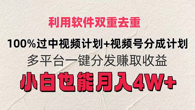 （11862期）利用软件双重去重，100%过中视频+视频号分成计划小白也可以月入4W+-必智轻创社