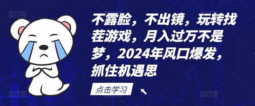 不露脸，不出镜，玩转找茬游戏，月入过万不是梦，2024年风口爆发，抓住机遇【揭秘】-必智轻创社