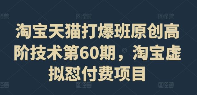 淘宝天猫打爆班原创高阶技术第60期，淘宝虚拟怼付费项目-必智轻创社