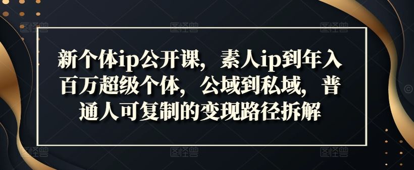 新个体ip公开课，素人ip到年入百万超级个体，公域到私域，普通人可复制的变现路径拆解-必智轻创社