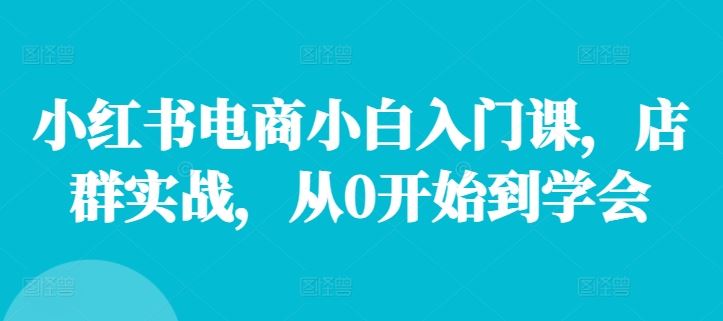 小红书电商小白入门课，店群实战，从0开始到学会-必智轻创社