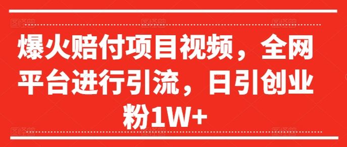 爆火赔付项目视频，全网平台进行引流，日引创业粉1W+【揭秘】-必智轻创社