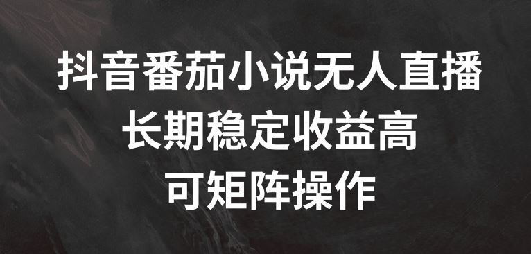 抖音番茄小说无人直播，长期稳定收益高，可矩阵操作【揭秘】-必智轻创社