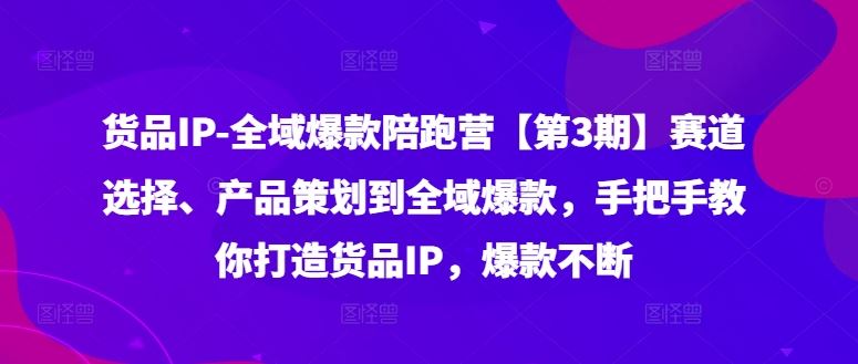 货品IP全域爆款陪跑营【第3期】赛道选择、产品策划到全域爆款，手把手教你打造货品IP，爆款不断-必智轻创社