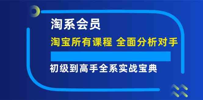 淘系会员初级到高手全系实战宝典【淘宝所有课程，全面分析对手】-必智轻创社