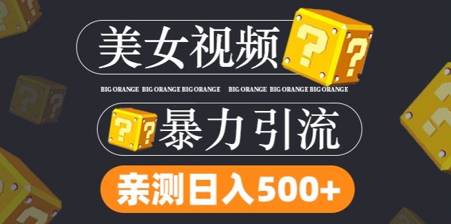 搬运tk美女视频全网分发，日引s粉300+，轻松变现，不限流量不封号-必智轻创社