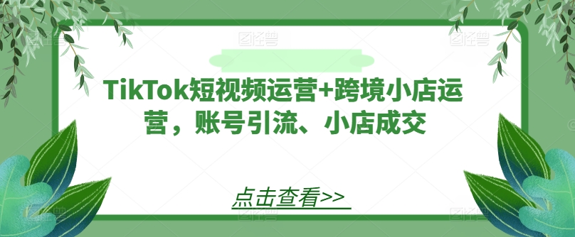 TikTok短视频运营+跨境小店运营，账号引流、小店成交-必智轻创社