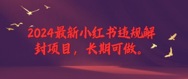 2024最新小红书违规解封项目，长期可做，一个可以做到退休的项目【揭秘】-必智轻创社