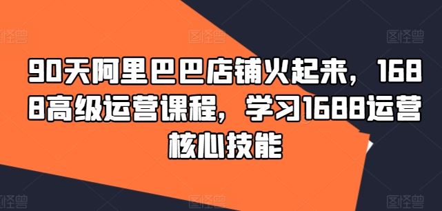 90天阿里巴巴店铺火起来，1688高级运营课程，学习1688运营核心技能-必智轻创社