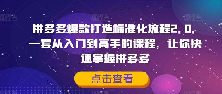 拼多多爆款打造标准化流程2.0，一套从入门到高手的课程，让你快速掌握拼多多-必智轻创社