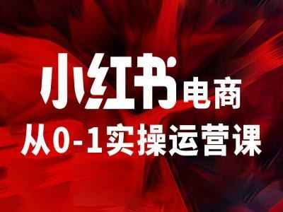 小红书电商从0-1实操运营课，让你从小白到精英-必智轻创社
