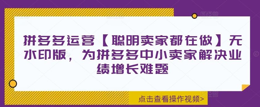 拼多多运营【聪明卖家都在做】无水印版，为拼多多中小卖家解决业绩增长难题-必智轻创社