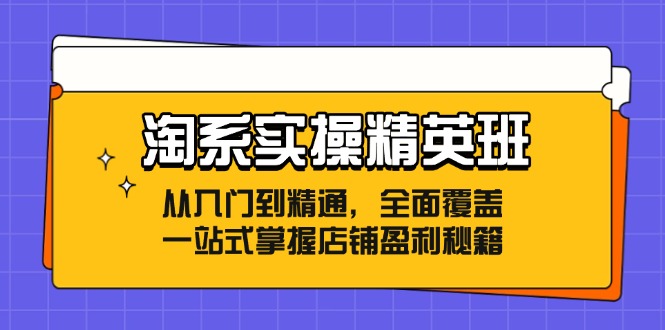 淘系实操精英班：从入门到精通，全面覆盖，一站式掌握店铺盈利秘籍-必智轻创社