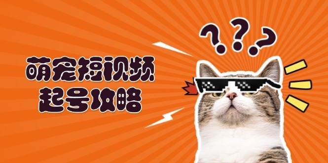 萌宠短视频起号攻略：定位搭建推流全解析，助力新手轻松打造爆款-必智轻创社
