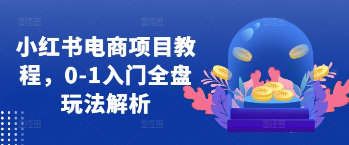 小红书电商项目教程，0-1入门全盘玩法解析-必智轻创社
