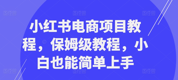 小红书电商项目教程，保姆级教程，小白也能简单上手-必智轻创社