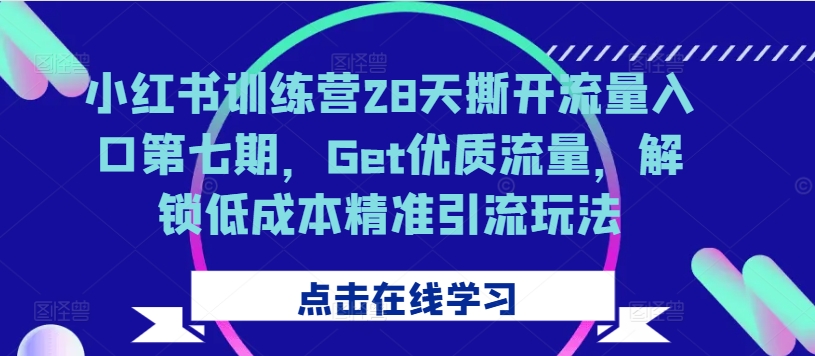 小红书训练营28天撕开流量入口第七期，Get优质流量，解锁低成本精准引流玩法-必智轻创社