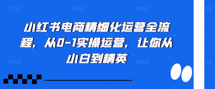 小红书电商精细化运营全流程，从0-1实操运营，让你从小白到精英-必智轻创社