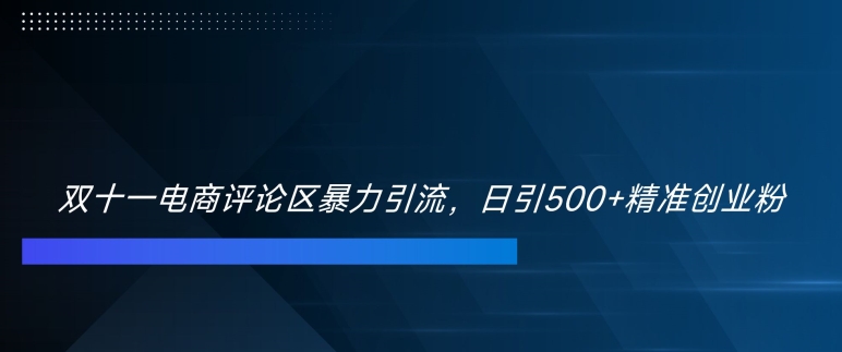 双十一电商评论区暴力引流，日引500+精准创业粉-必智轻创社