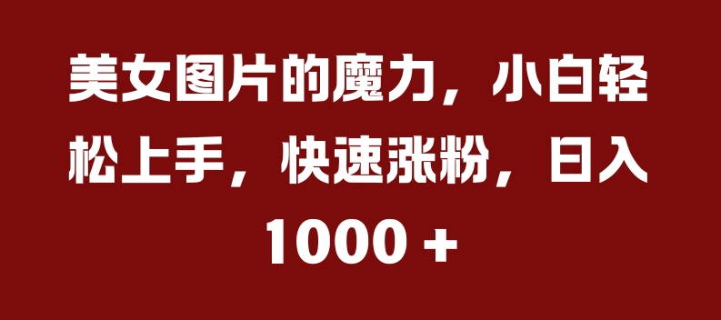 美女图片的魔力，小白轻松上手，快速涨粉，日入几张-必智轻创社