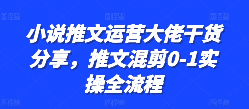 小说推文运营大佬干货分享，推文混剪0-1实操全流程-必智轻创社