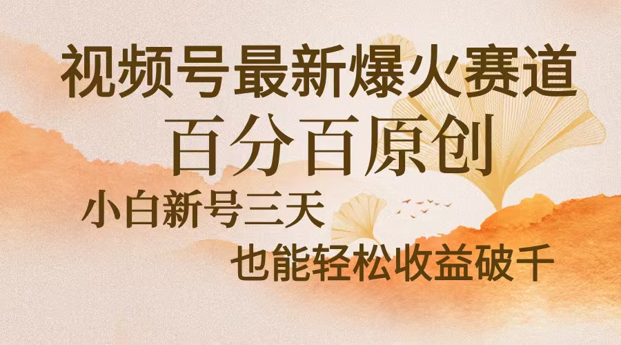 视频号最新爆火赛道，中老年粉深信不疑，百分百原创，新号三天收益轻松…-必智轻创社