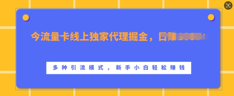 流量卡线上独家代理掘金，日入1k+ ，多种引流模式，新手小白轻松上手-必智轻创社