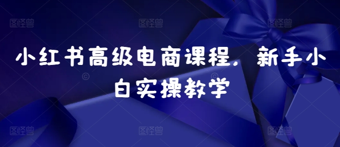 小红书高级电商课程，新手小白实操教学-必智轻创社