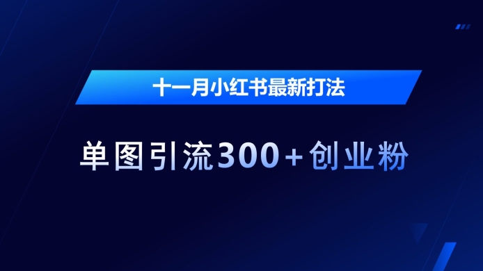 十一月小红书最新打法，单图引流300+创业粉-必智轻创社