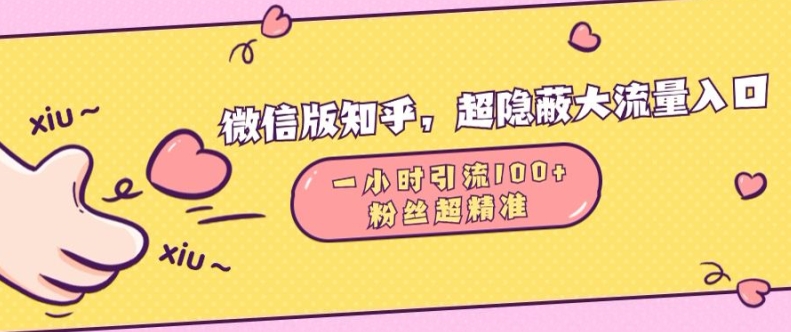 微信版知乎，超隐蔽流量入口1小时引流100人，粉丝质量超高-必智轻创社