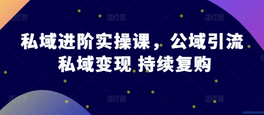 私域进阶实操课，公域引流 私域变现 持续复购-必智轻创社