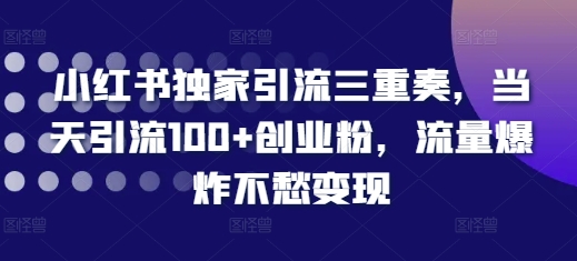 小红书独家引流三重奏，当天引流100+创业粉，流量爆炸不愁变现-必智轻创社