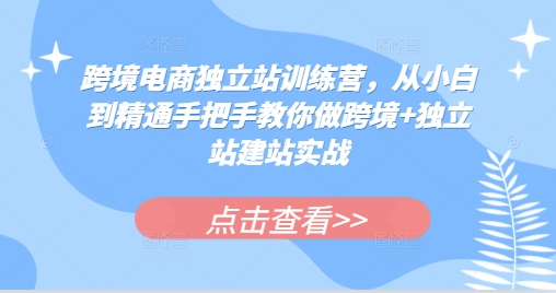 跨境电商独立站训练营，从小白到精通手把手教你做跨境+独立站建站实战-必智轻创社