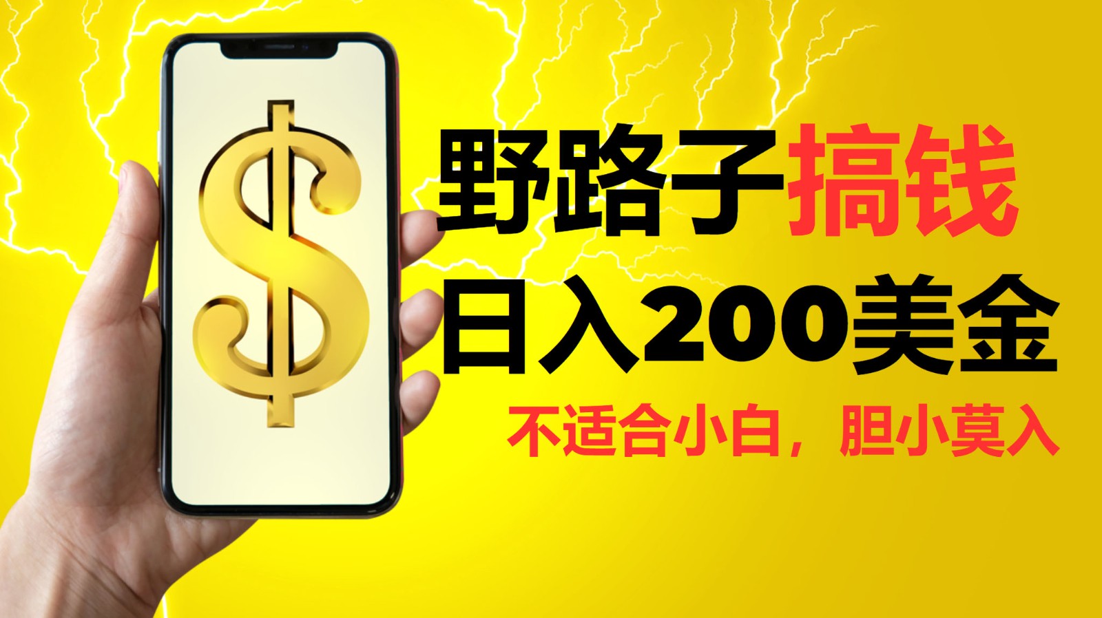 挂机野路子搞钱，日入200美金，路子很野，小白莫入-必智轻创社